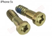set-of-2-screws-pentagonales-pentalobe-apple-phone-5s-gold-gold