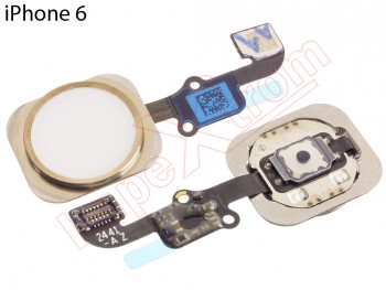 Flex with button of menú gold and embellecedor for Apple Phone 6
