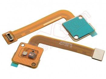Cable flex con flash trasero para Xiaomi Xiaomi Mi 11 Lite, M2101K9AG / Mi 11 Lite 5G, M2101K9G