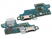 suplicity-board-with-microphone-and-charging-and-accesories-connector-type-c-for-samsung-galaxy-a60-sm-a606f