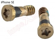 set-2-pentalobe-screws-for-iphone-se-2016-a1662-a1723-a1724-golden