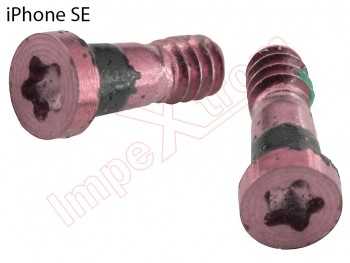 Set 2 pentalobe screws for Iphone SE (2016) A1662, A1723, A1724, golden rose