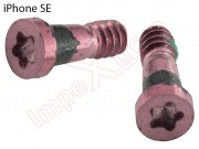 set-2-pentalobe-screws-for-iphone-se-2016-a1662-a1723-a1724-golden-rose